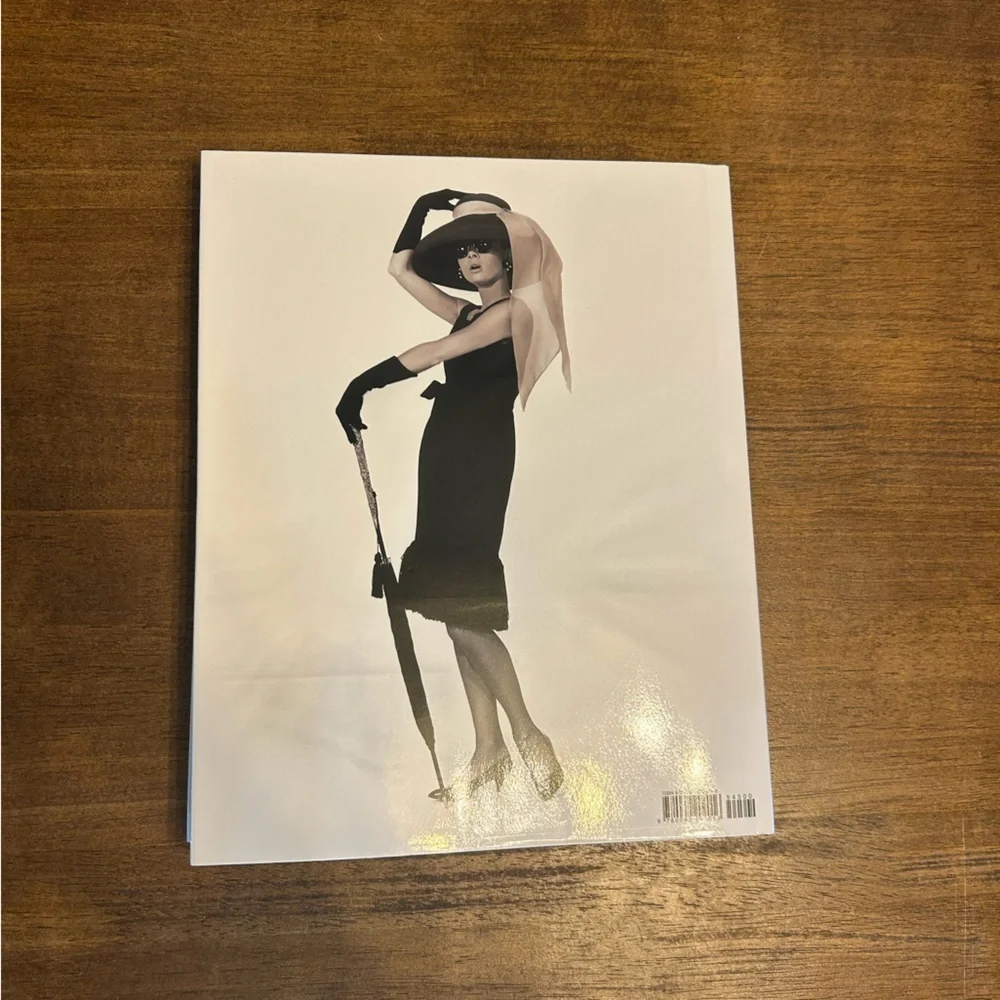 Audrey The 60s Book by David Wills and Stephen Schmidt Hardcover - Picture 7 of 7